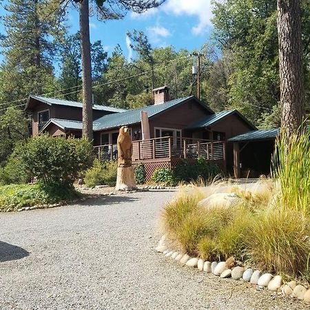 Uncle Grizz'S Cabin...Get Intouch With Nature Bass Lake Annex Exterior photo
